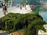 Lungo le sponde del lago Dal